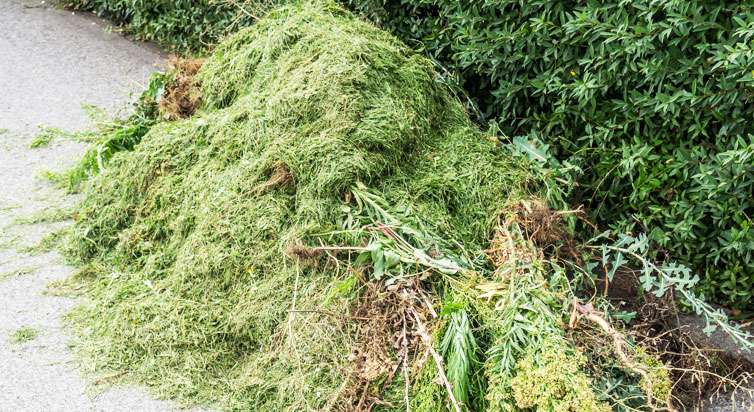 Container für Gartenabfälle in Hamburg mieten